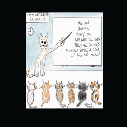 Cats Learning English!