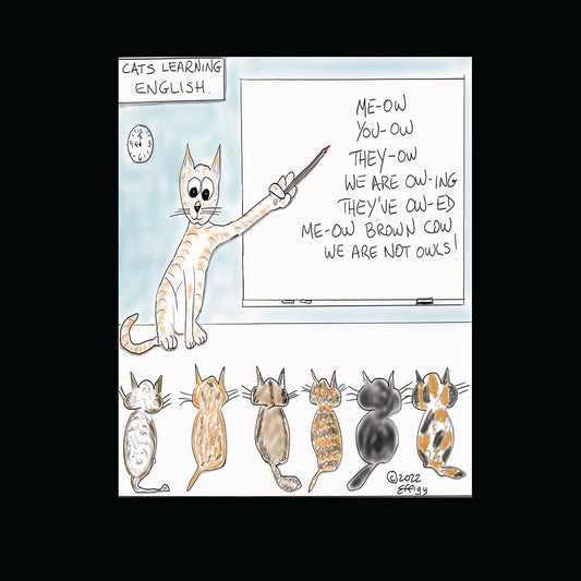 Cats Learning English!